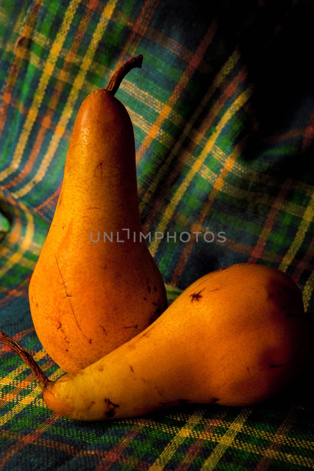 Fresh sweet pears