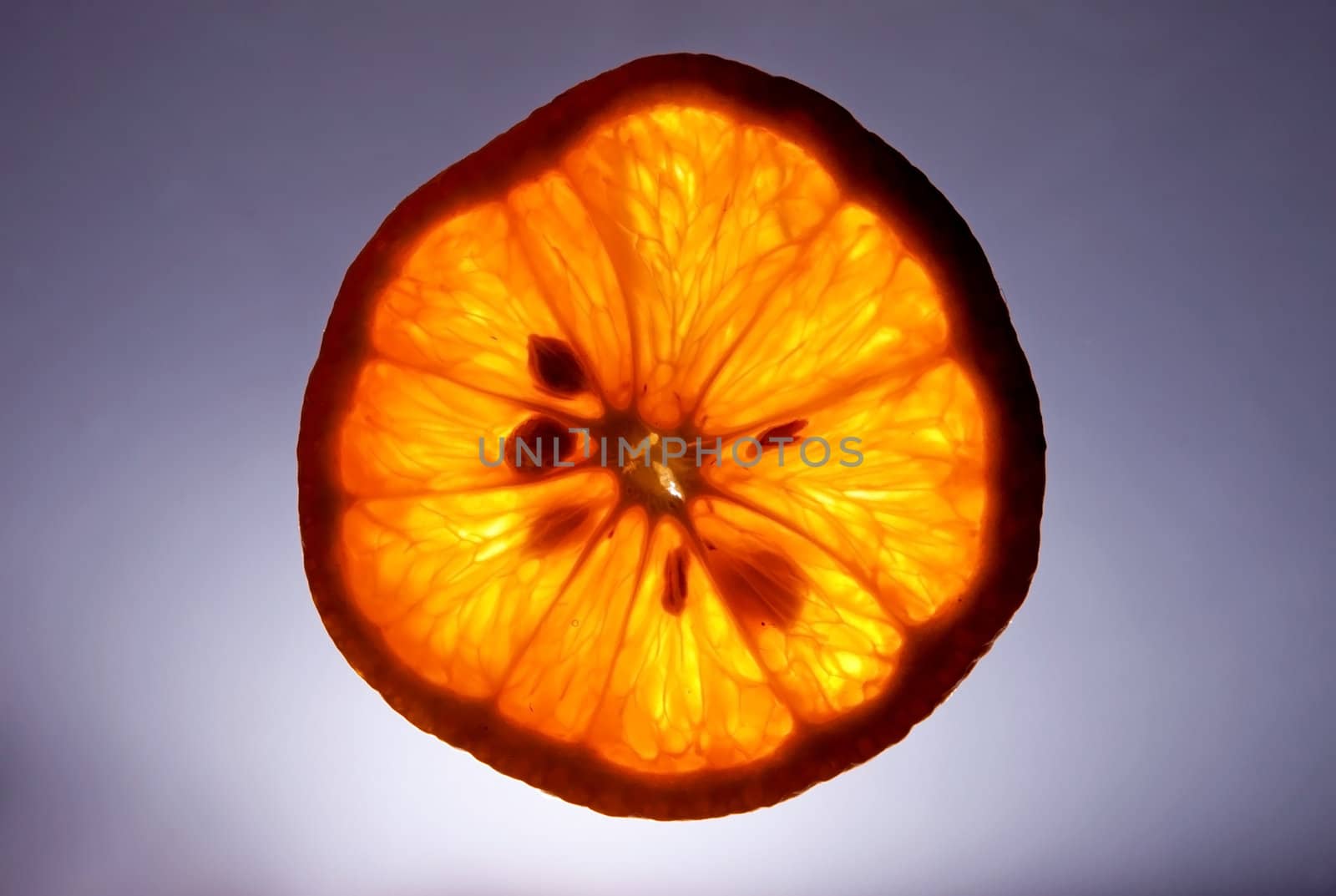 Slice of orange on black fone