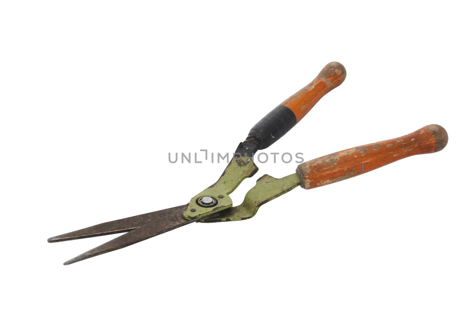 Old and rusty garden shears on a white background.