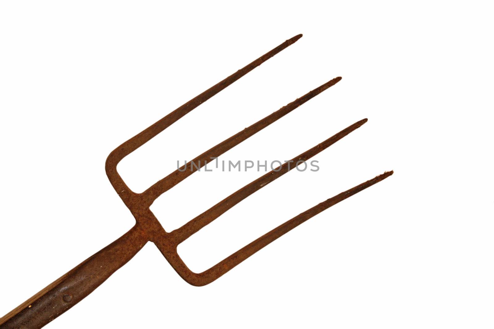 Old and rusty garden fork on a white background.