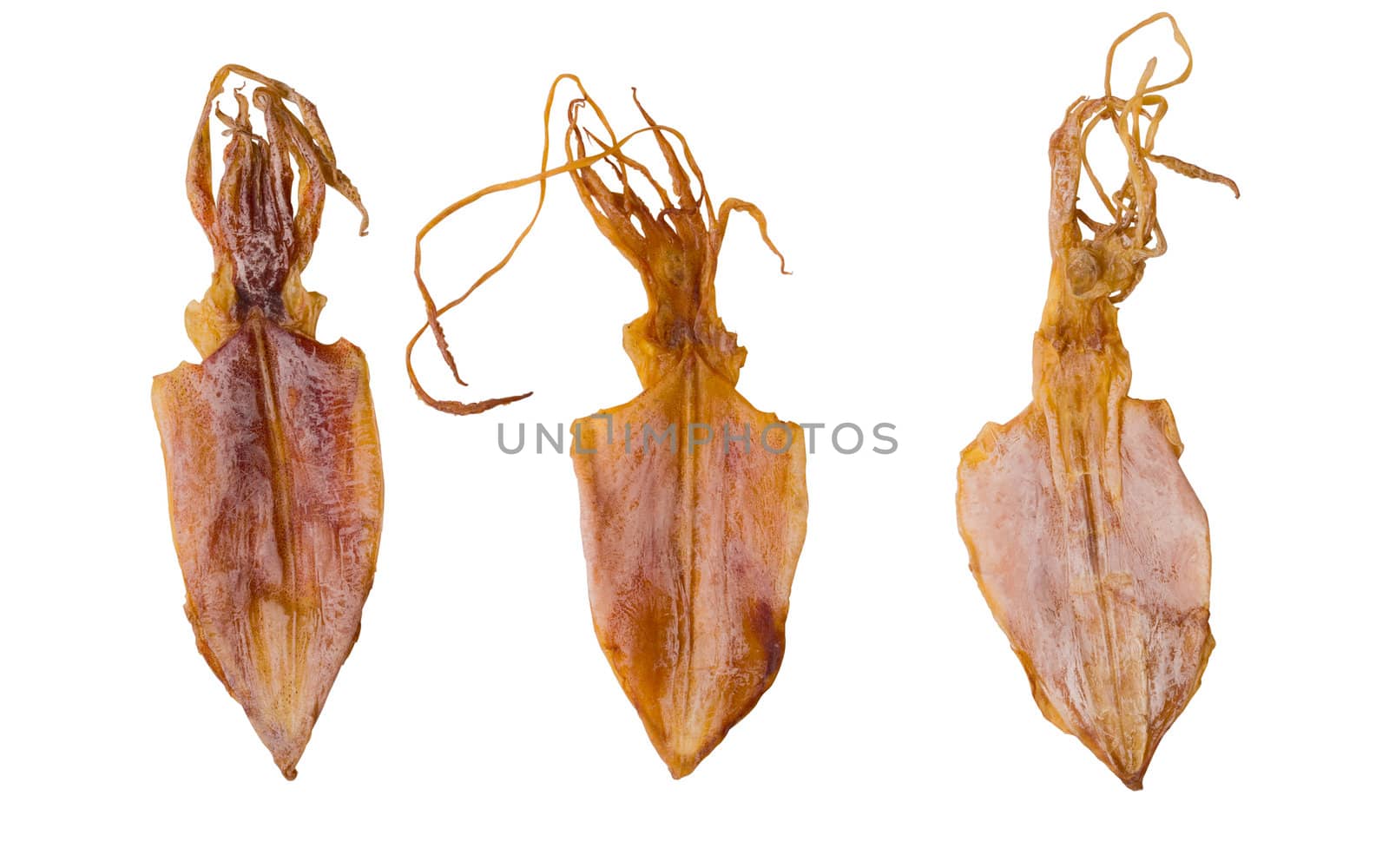 close up of dried squid isolated on white
