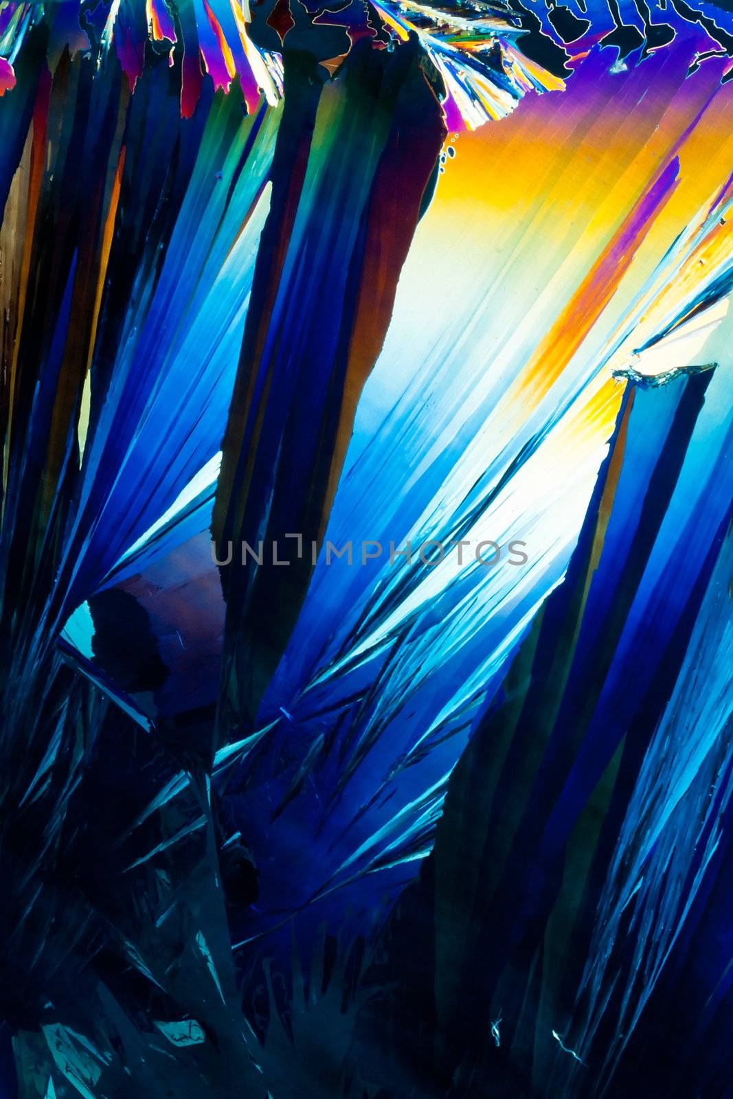 Salicylic acid crystals in polarized light by PiLens