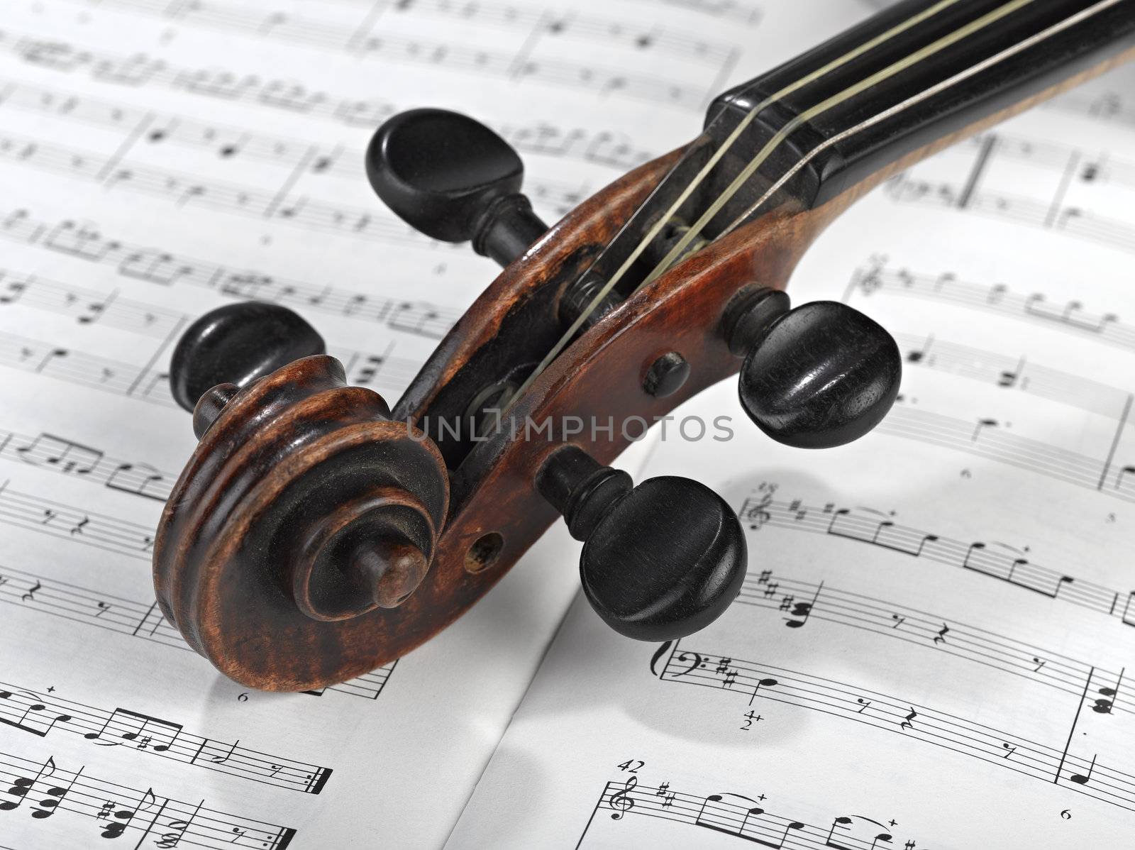 violin head on partition