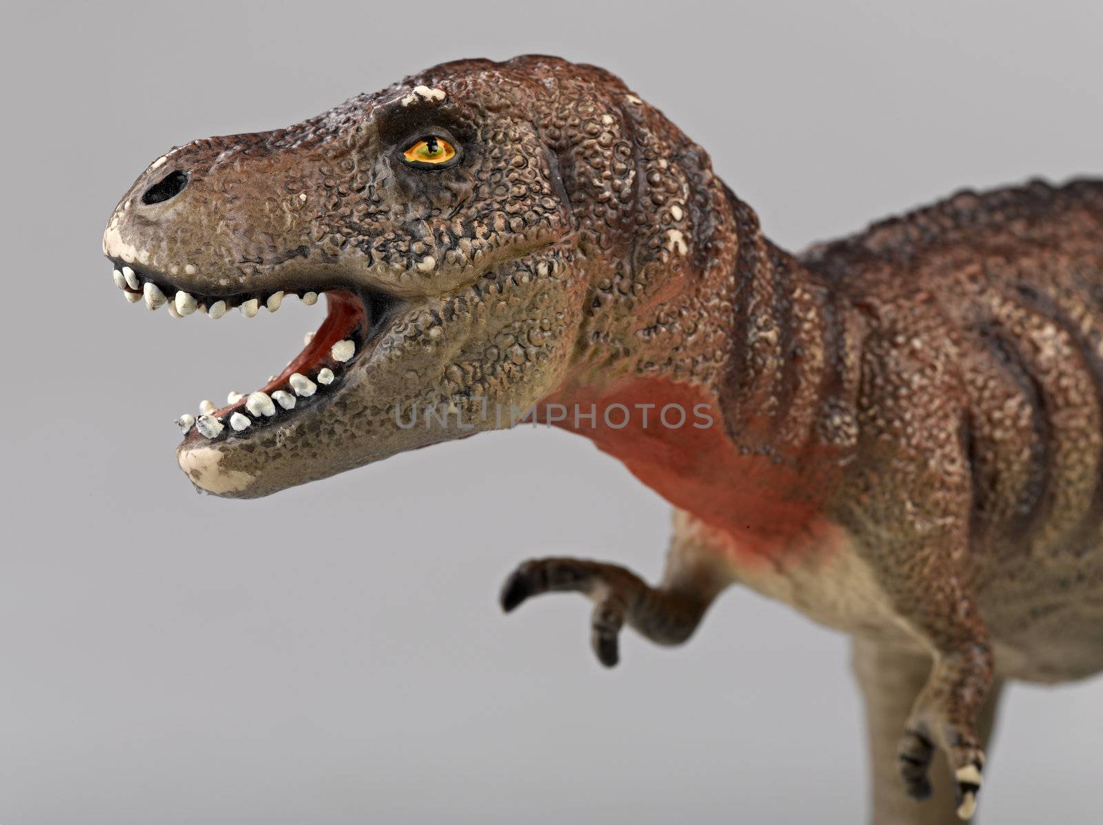 tyrannosaurus rex side view by pbombaert