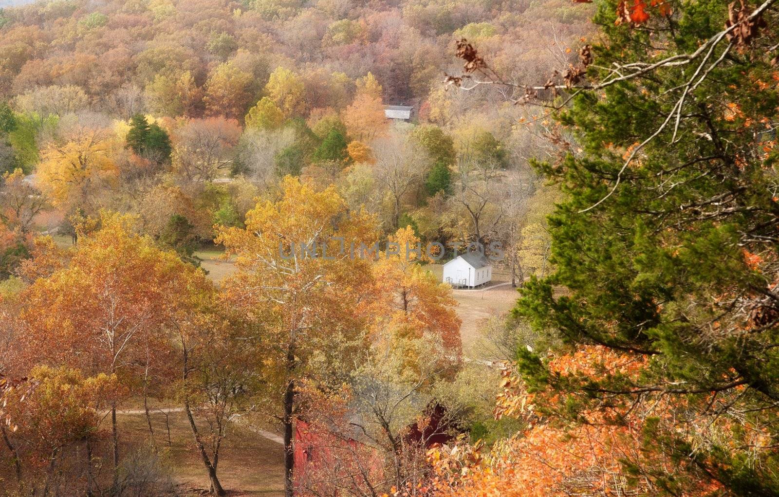 ozarks forest in missouri during autumn or fall