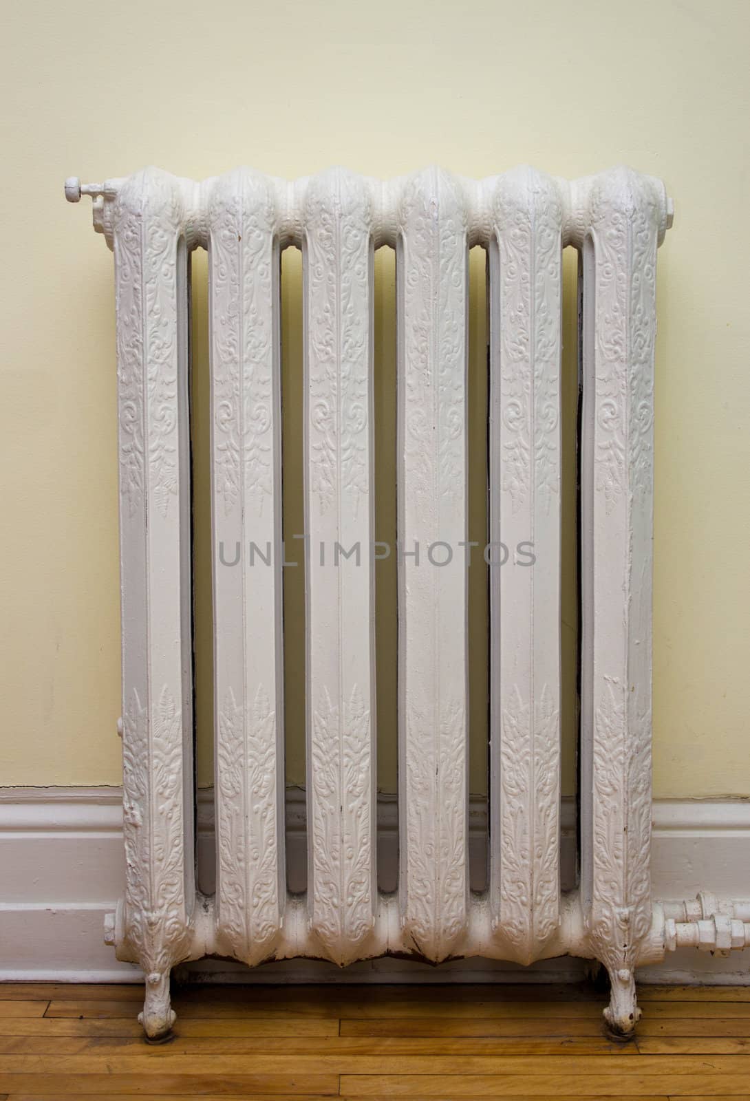 Ornate, antique heat radiator.