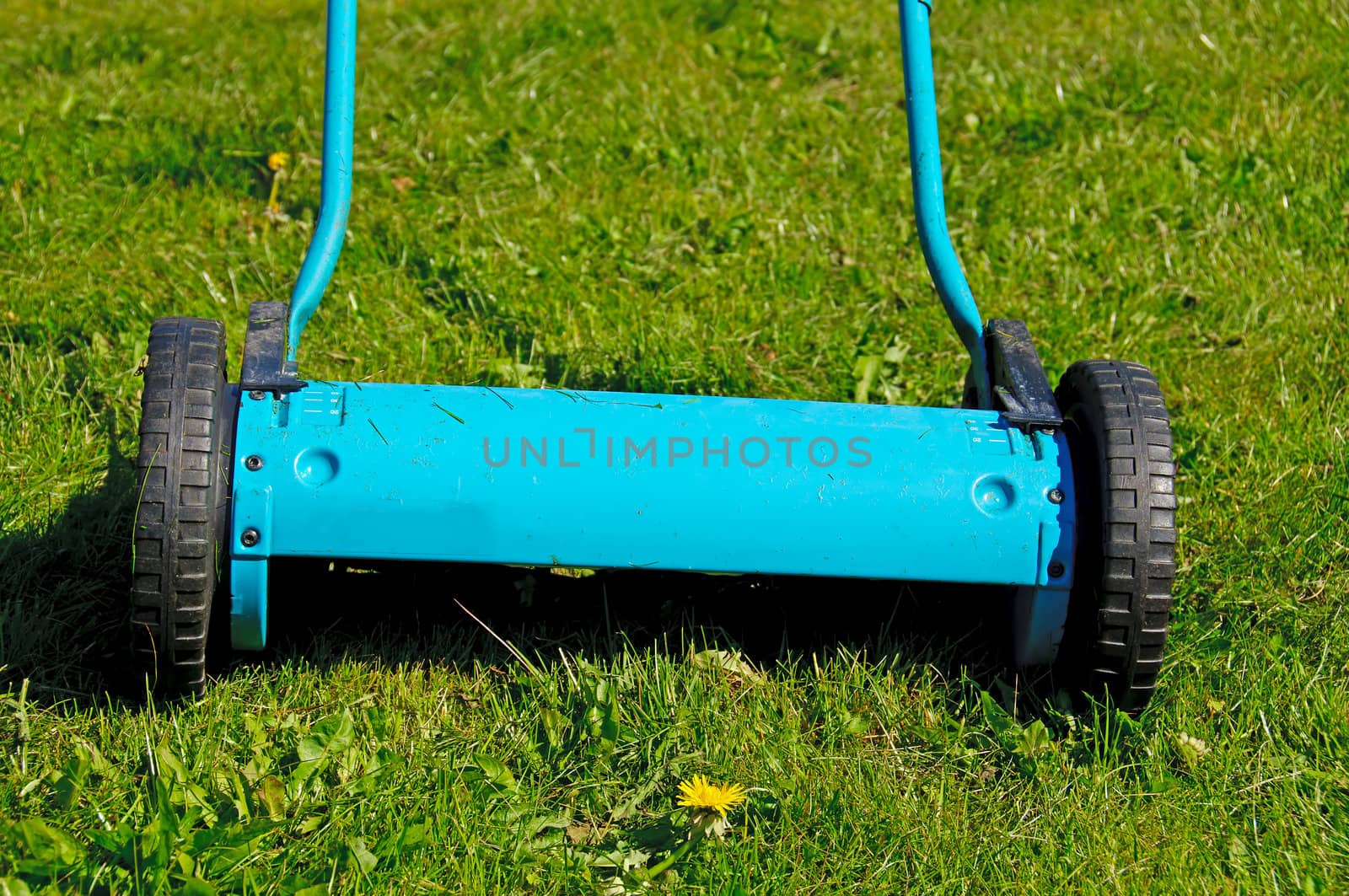 A blue/green manual lawn mower on grass