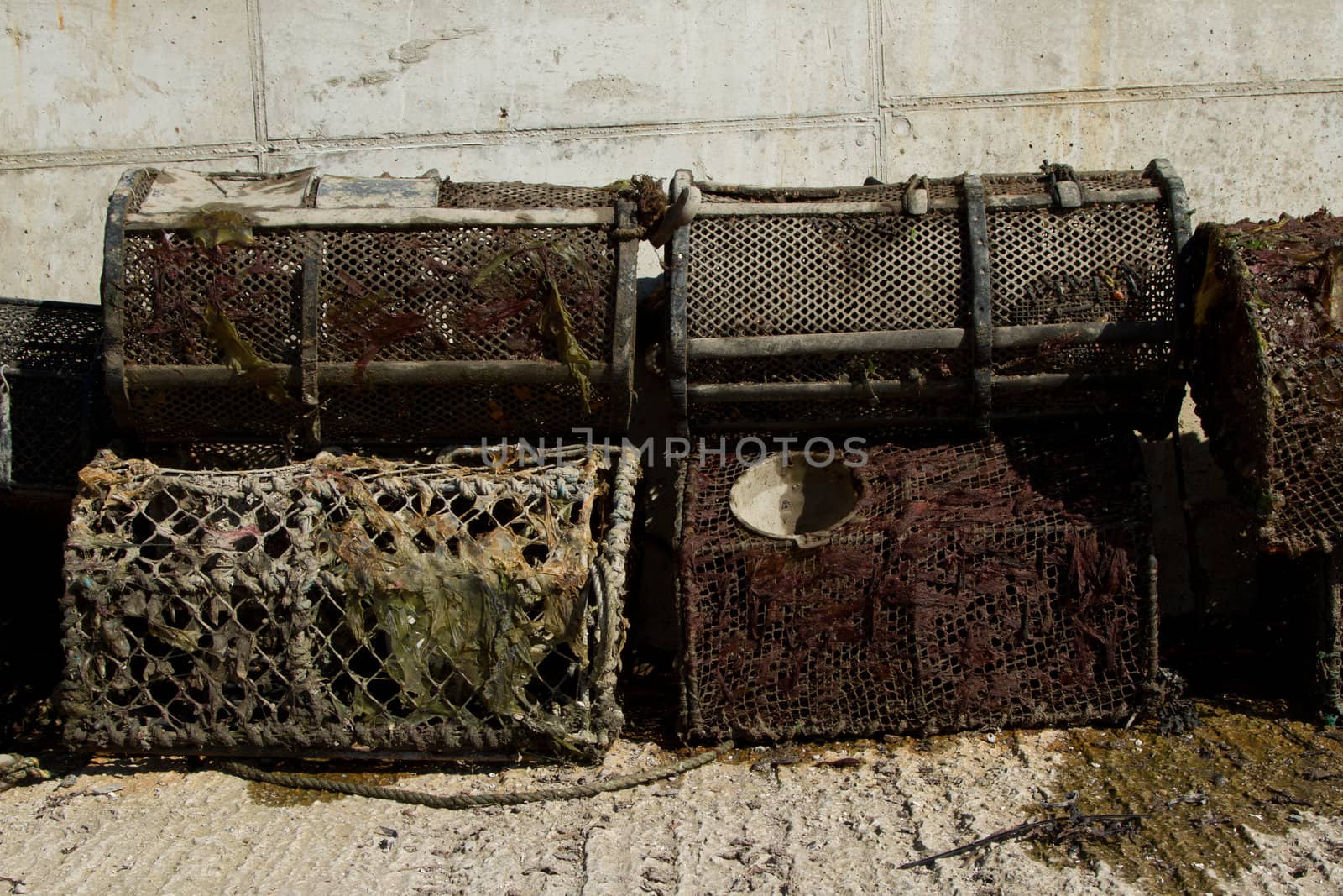 A set of working lobster pots covered with seaweed stacked against a concrete wall and floor.