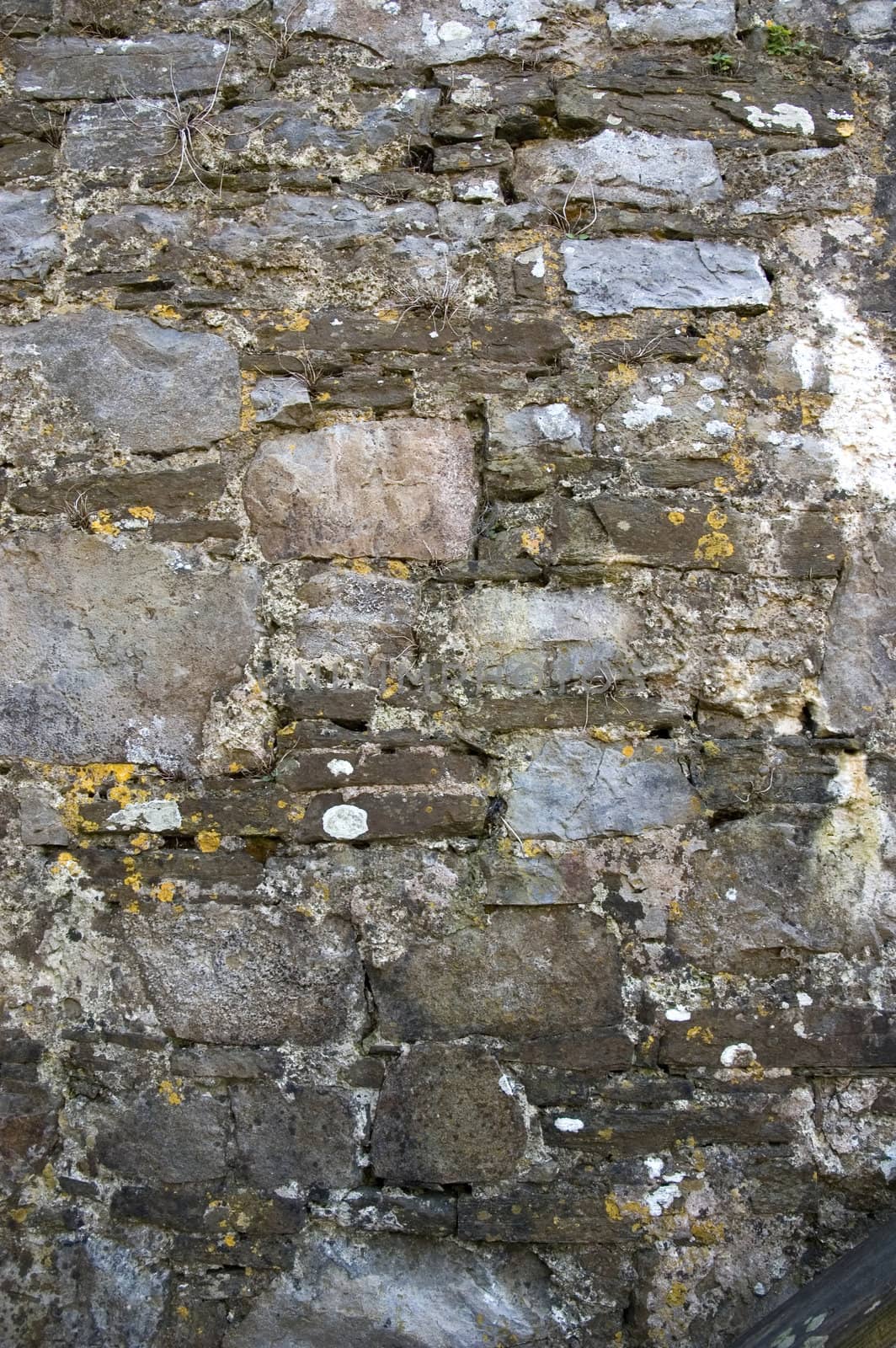 An old Castle stone wall Texture photo