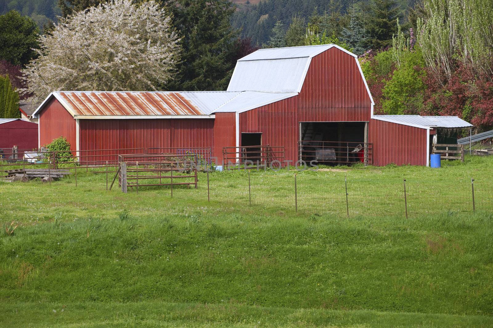 Country barn. by Rigucci