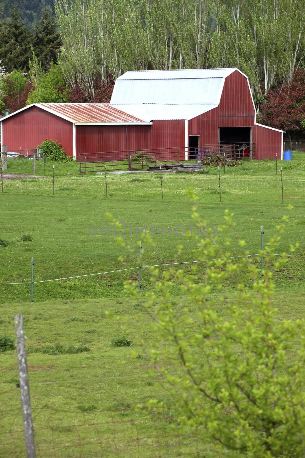 Country barn, Woodland WA.