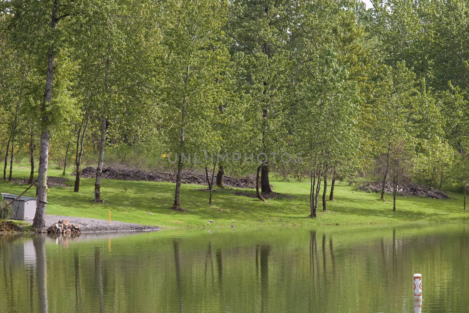 Park and lake in Woodland WA.