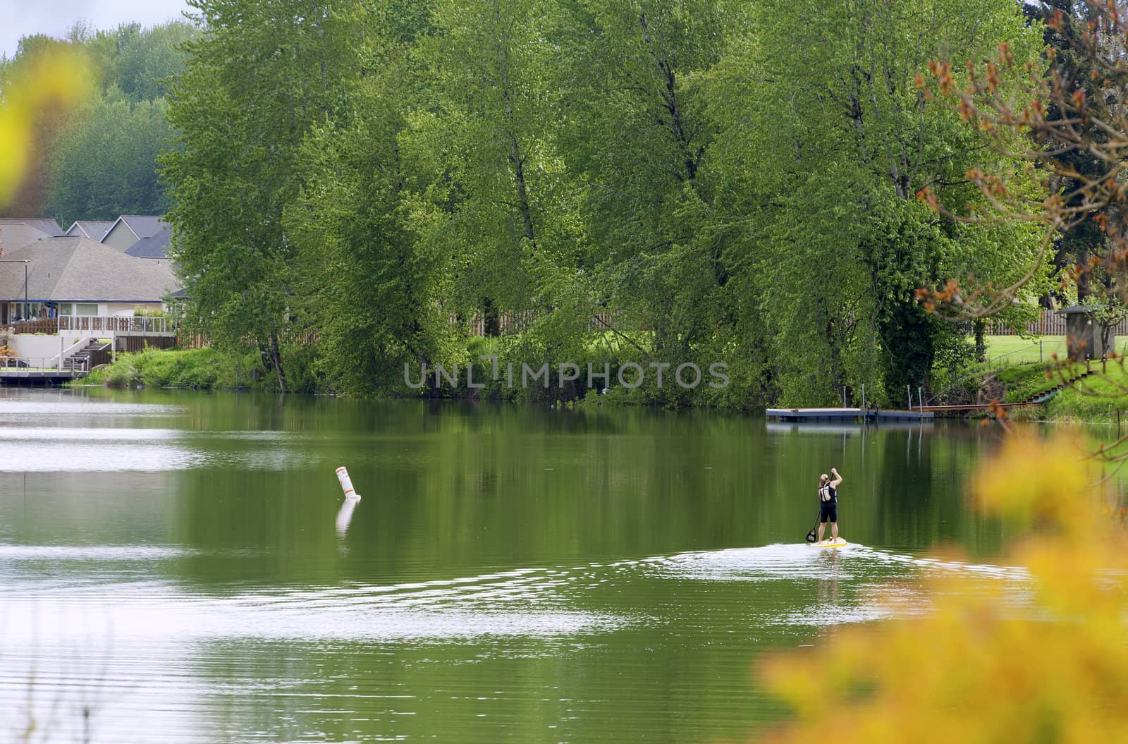 Stand-up rowing Woodland Lake. by Rigucci