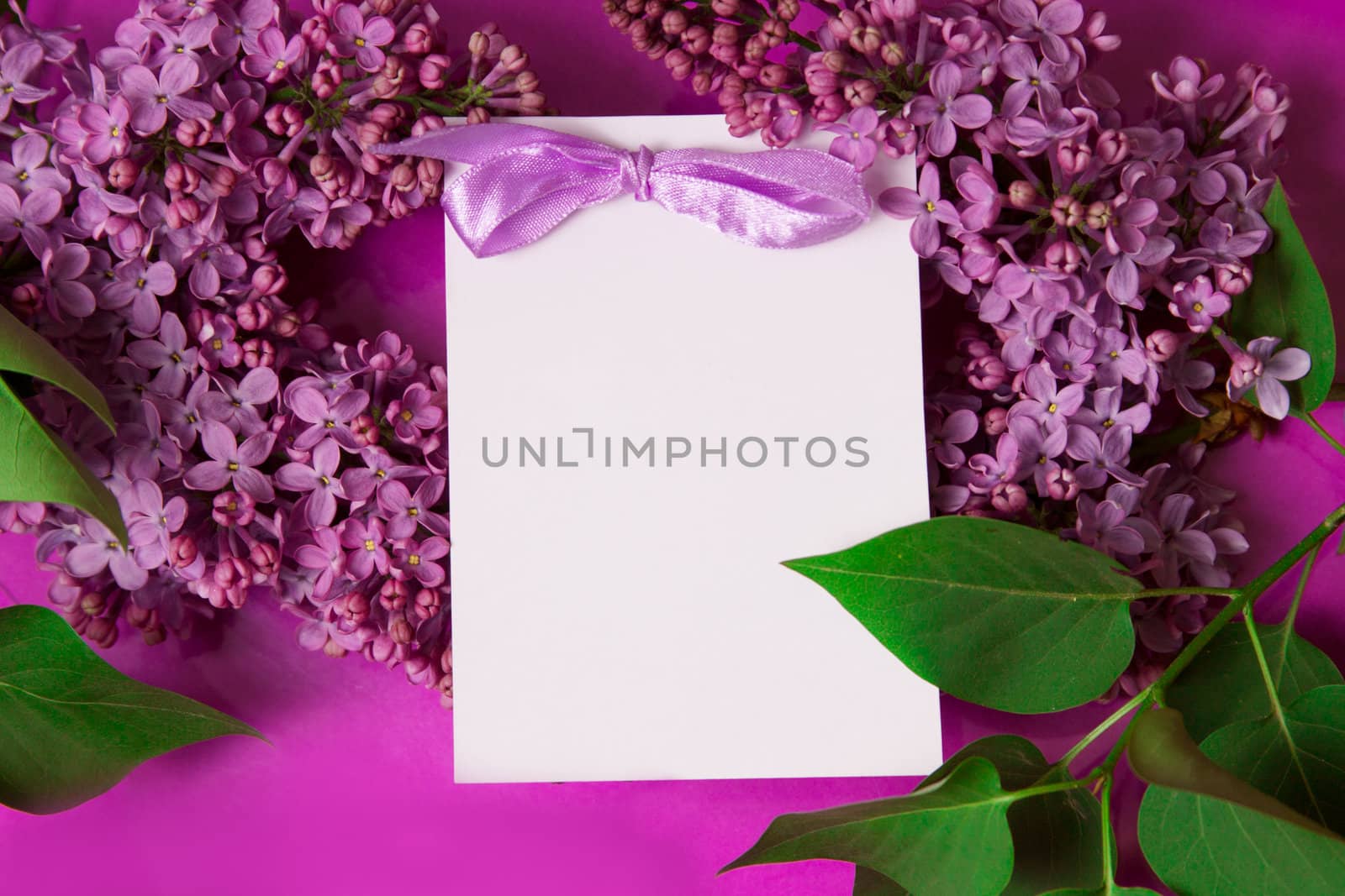 Purple lilac with invitation over violet background