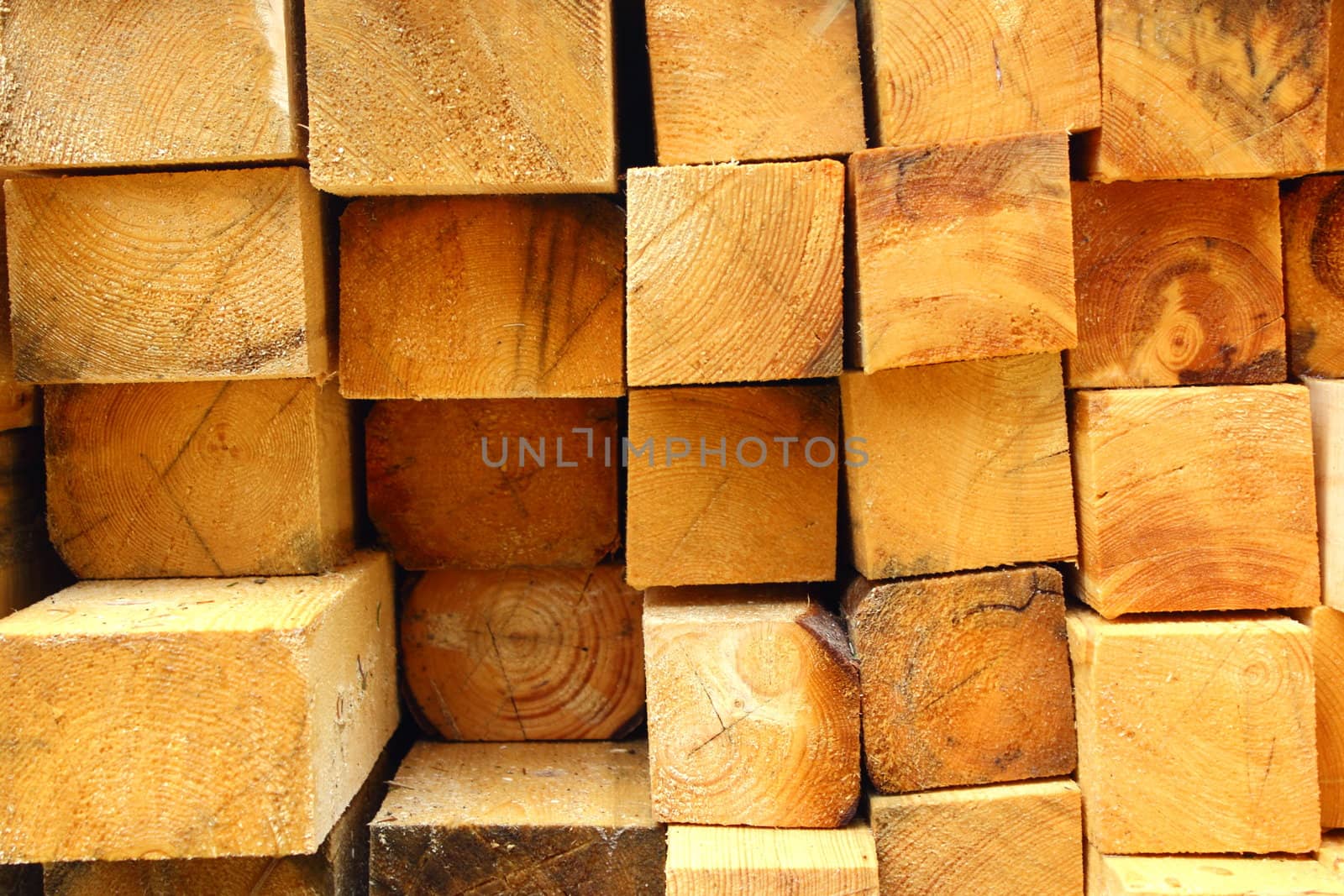 pattern of a bunch of felled wood