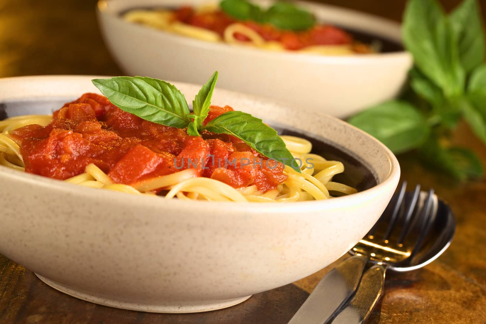 Spaghetti with tomato sauce garnished with a fresh basil leaf served in a bowl (Selective Focus, Focus on the basil leaf in the front)