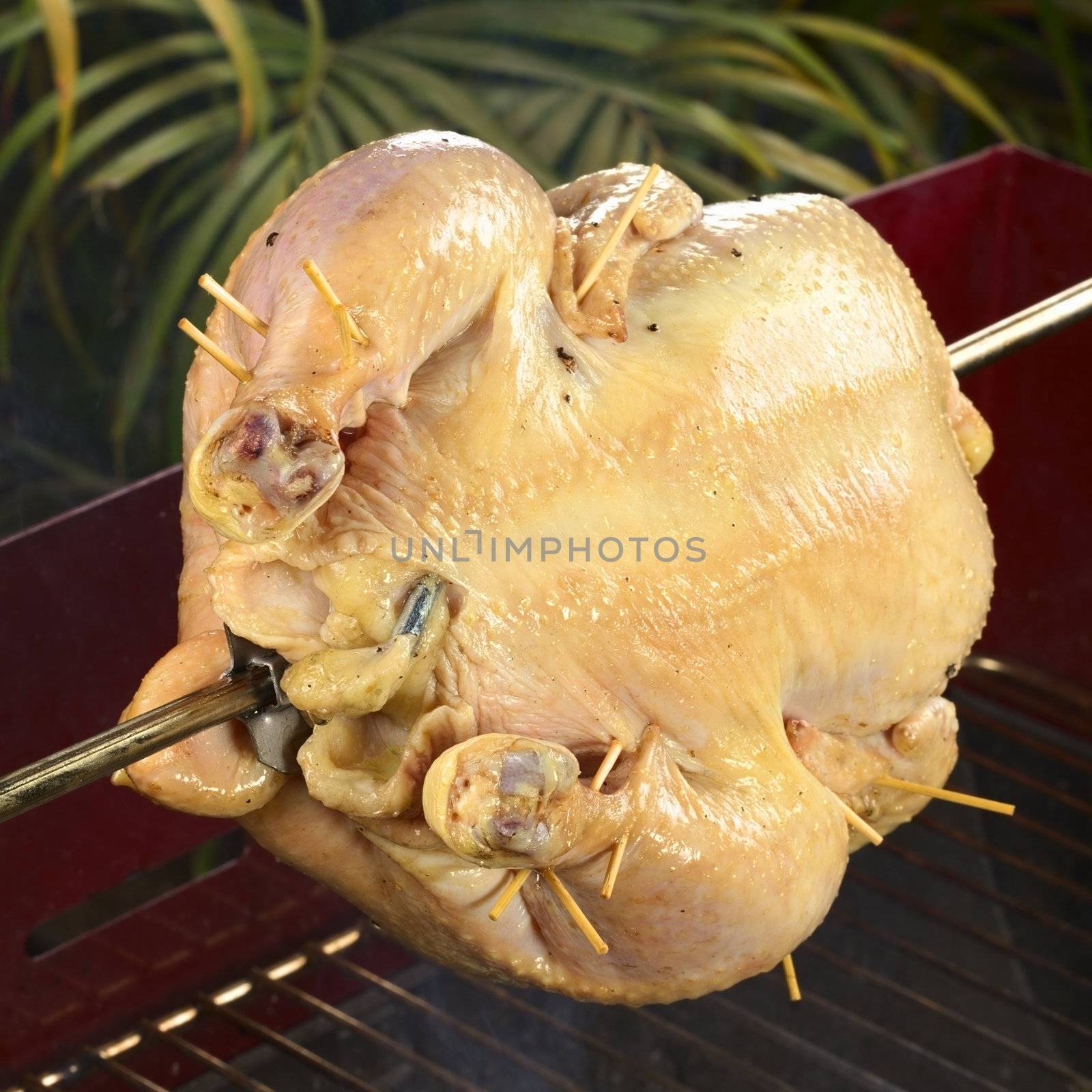 Whole chicken being grilled on spit over a charcoal barbecue (Selective Focus, Focus on the legs of the chicken)