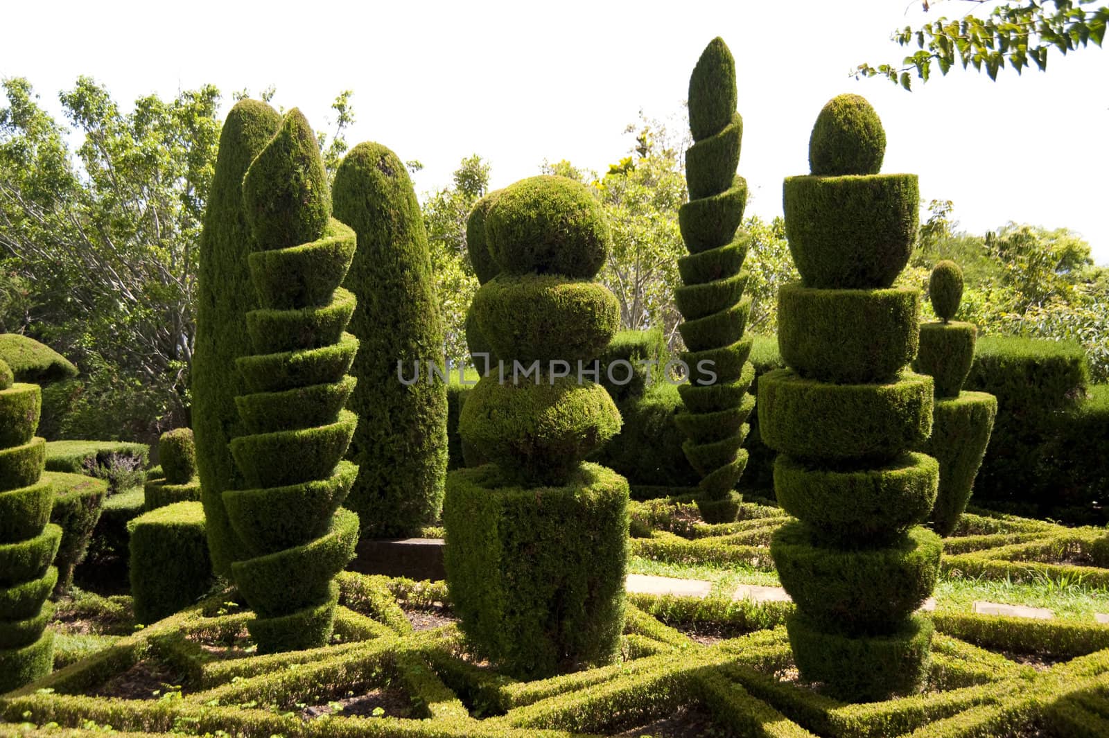 scene in portugal / island of madeira