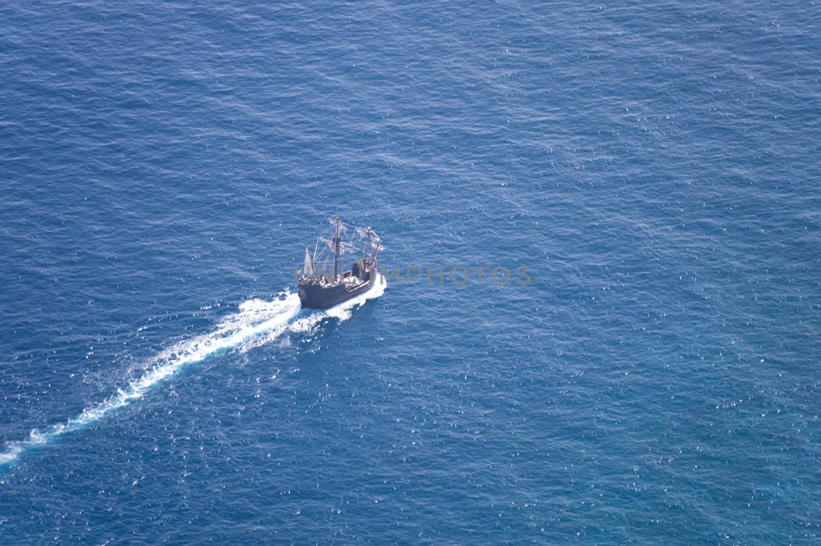 scene in portugal / island of madeira