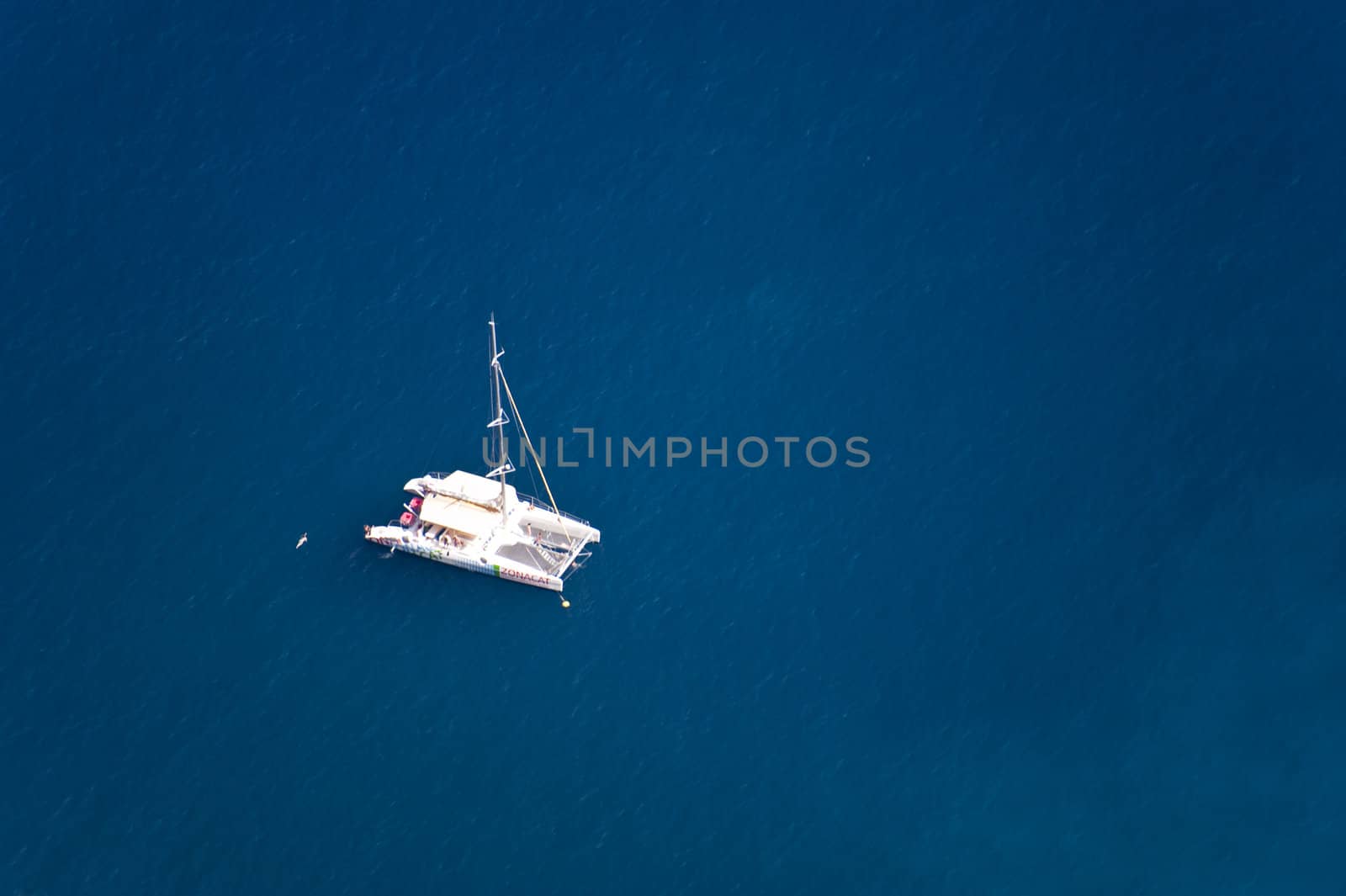 scene in portugal / island of madeira