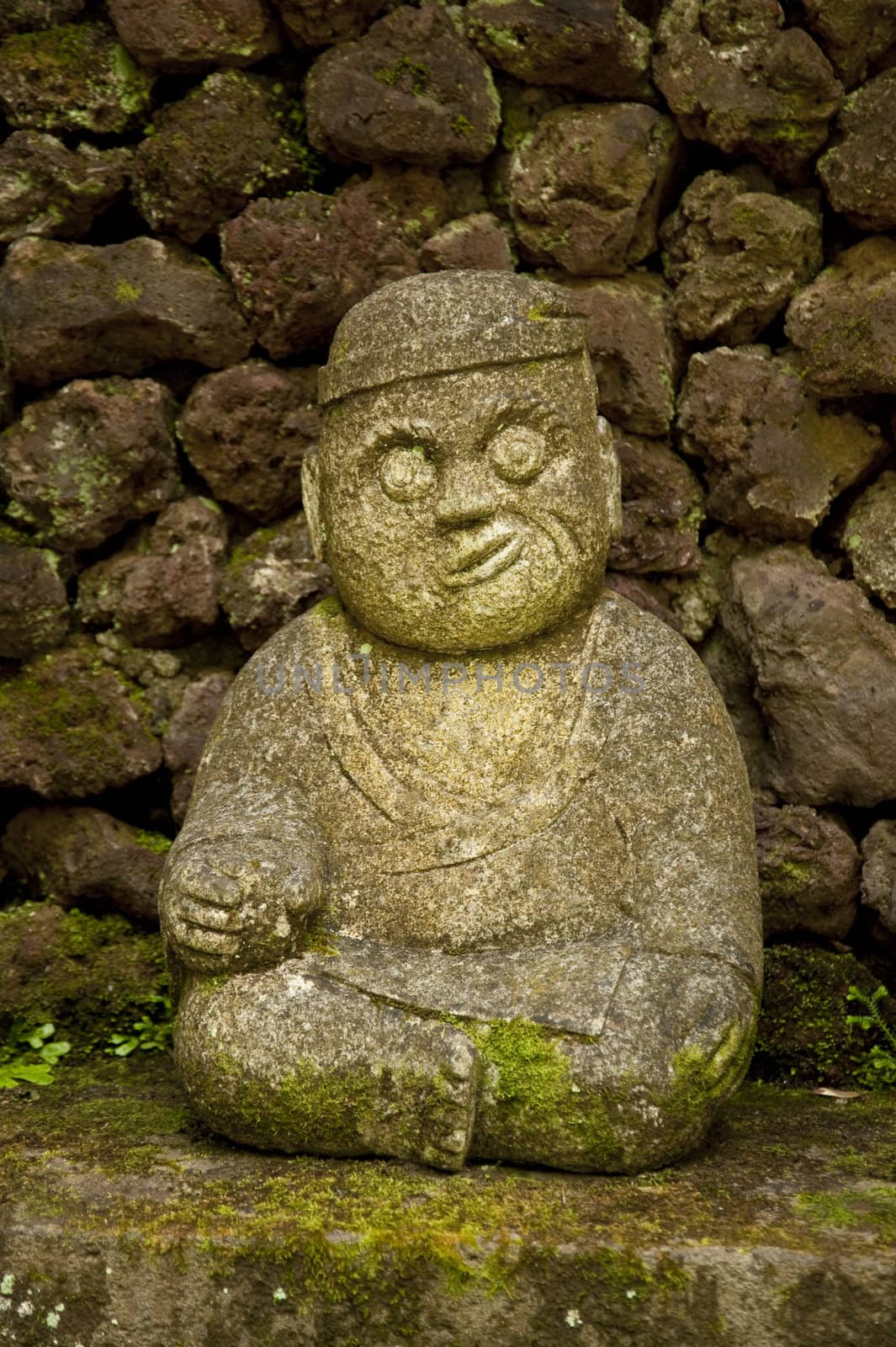 scene in portugal / island of madeira