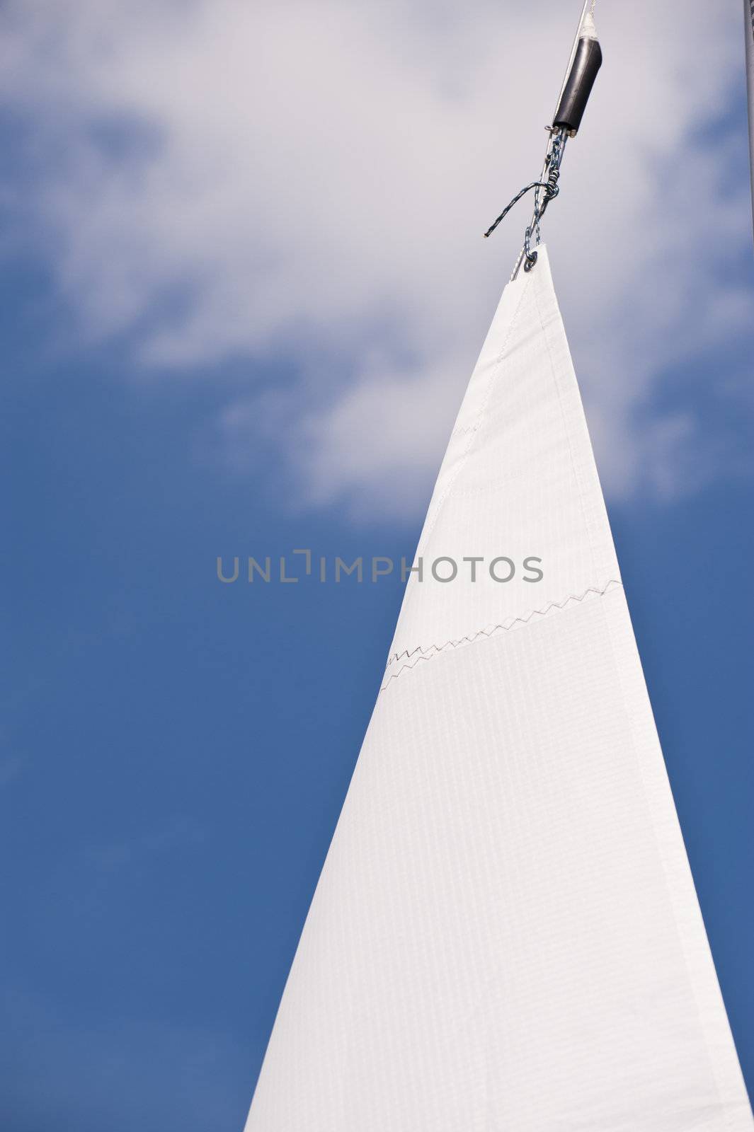 Sail