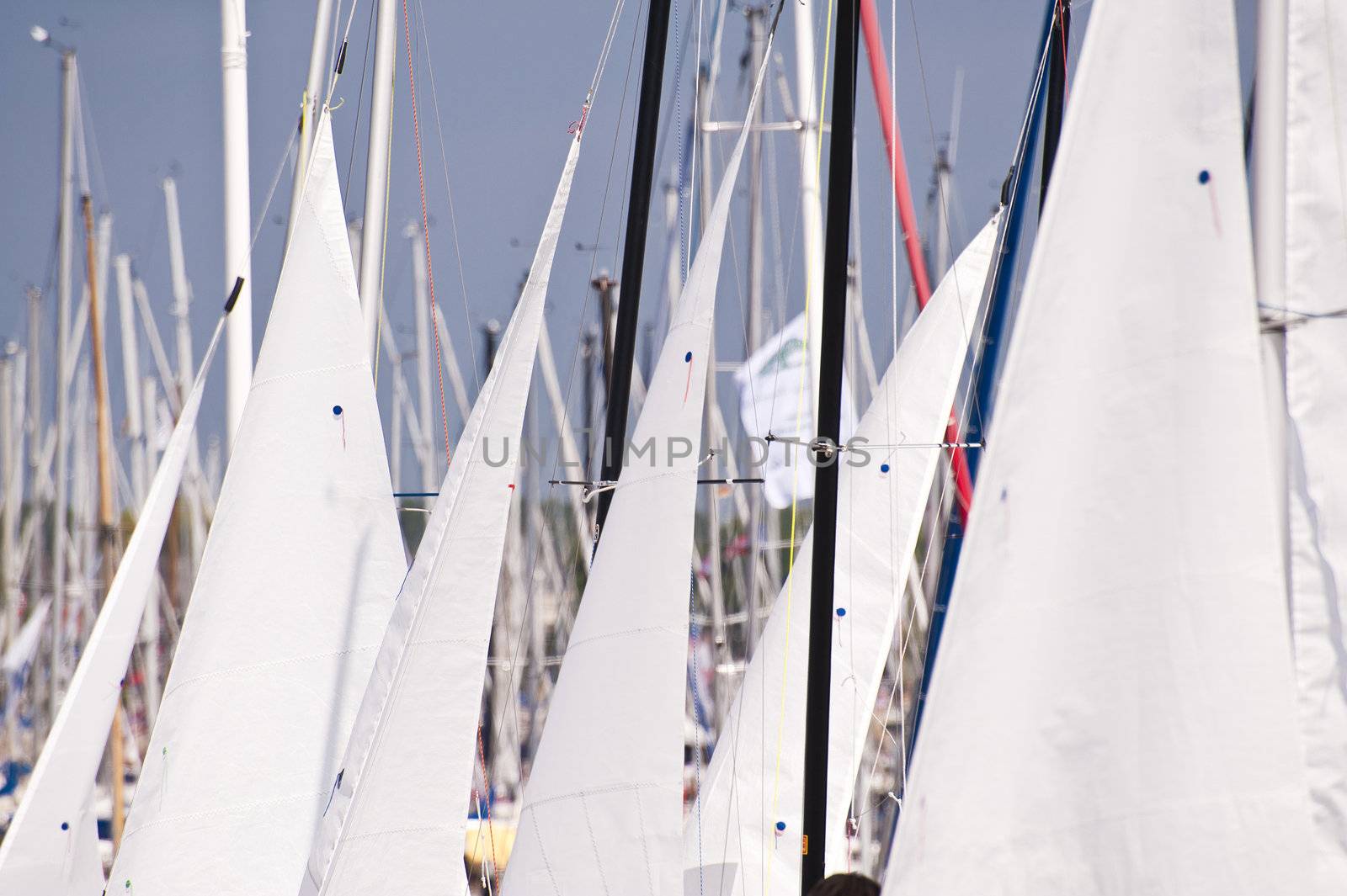 Scene on the Kiel Week 2010, Germany