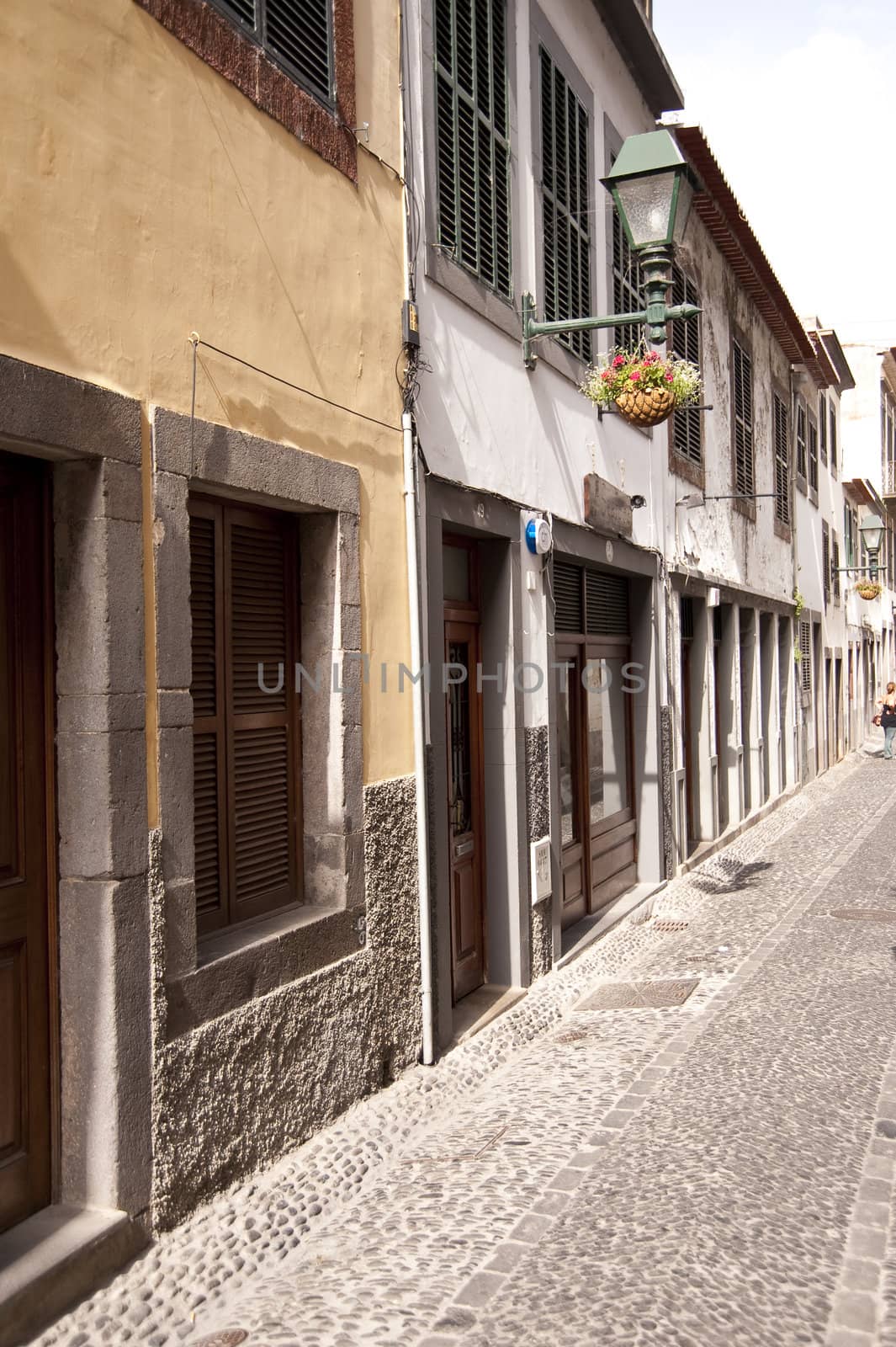 scene in portugal / island of madeira
