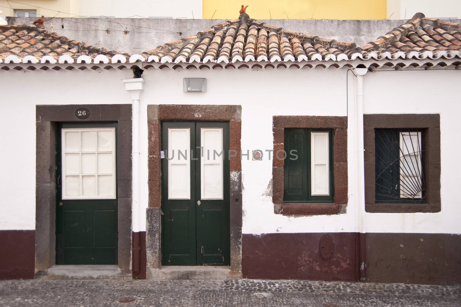scene in portugal / island of madeira