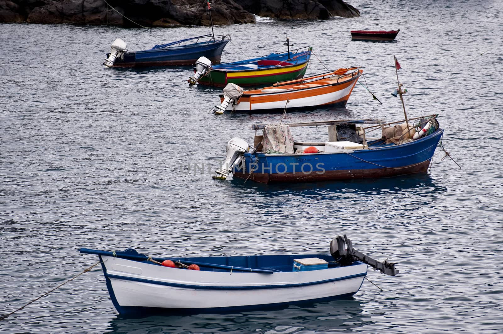 scene in portugal / island of madeira
