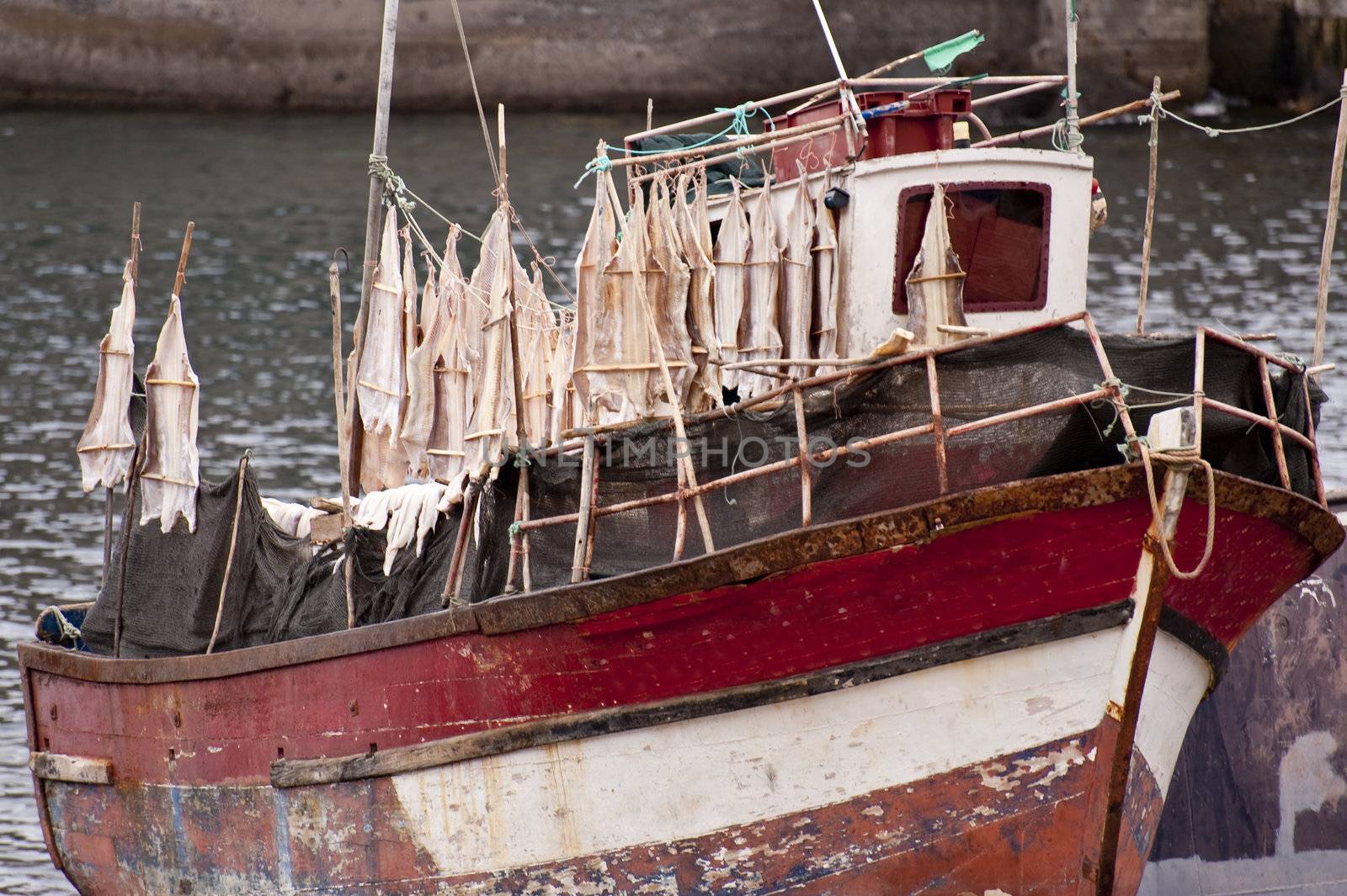 scene in portugal / island of madeira