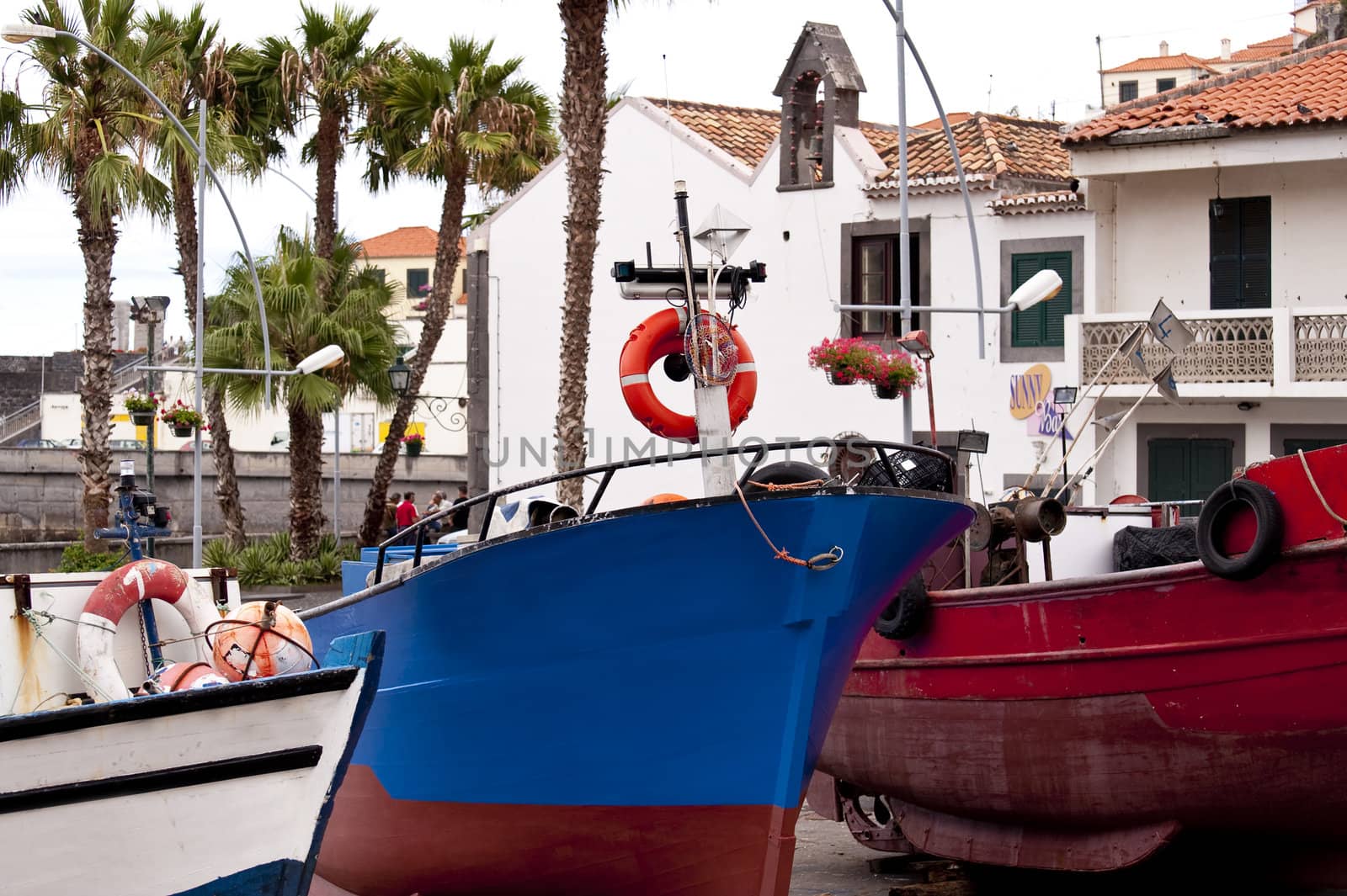 scene in portugal / island of madeira