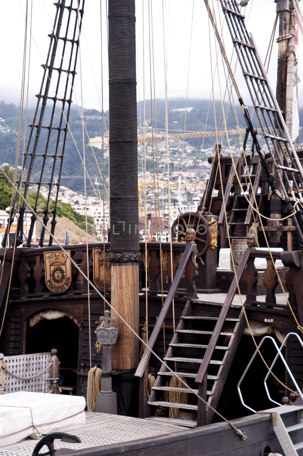 scene in portugal / island of madeira