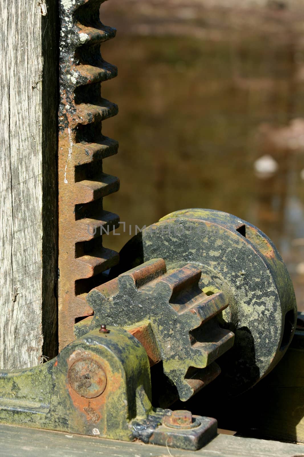 A Old rusty metal gear