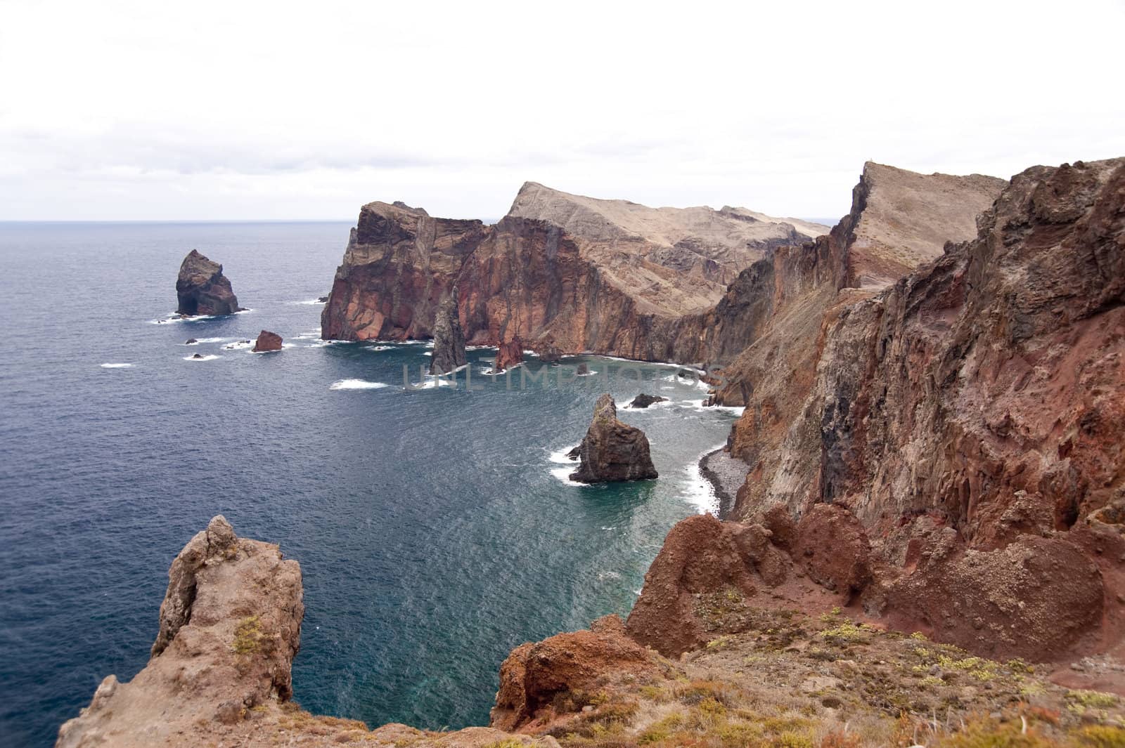 scene in portugal / island of madeira