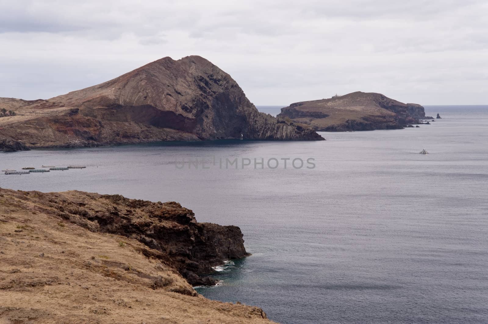 scene in portugal / island of madeira