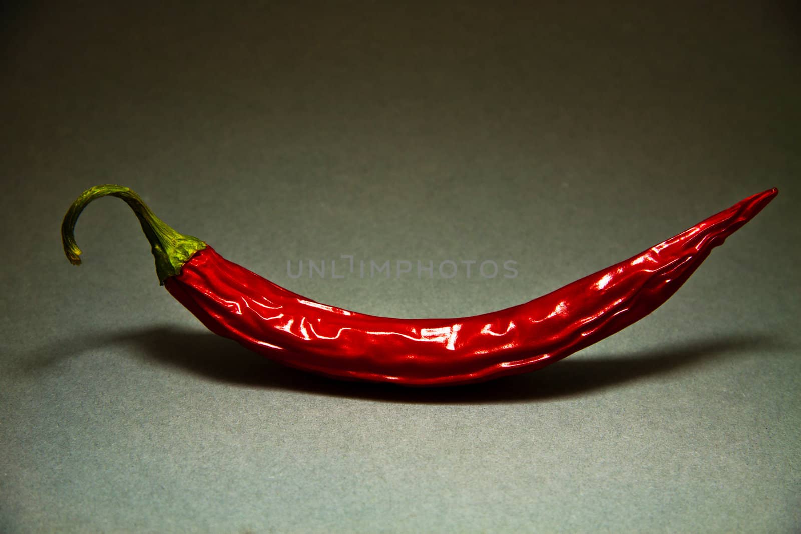 red hot chilli pepper on grey background by juniart