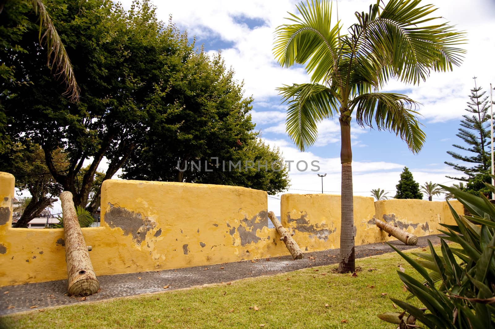 scene in portugal / island of madeira