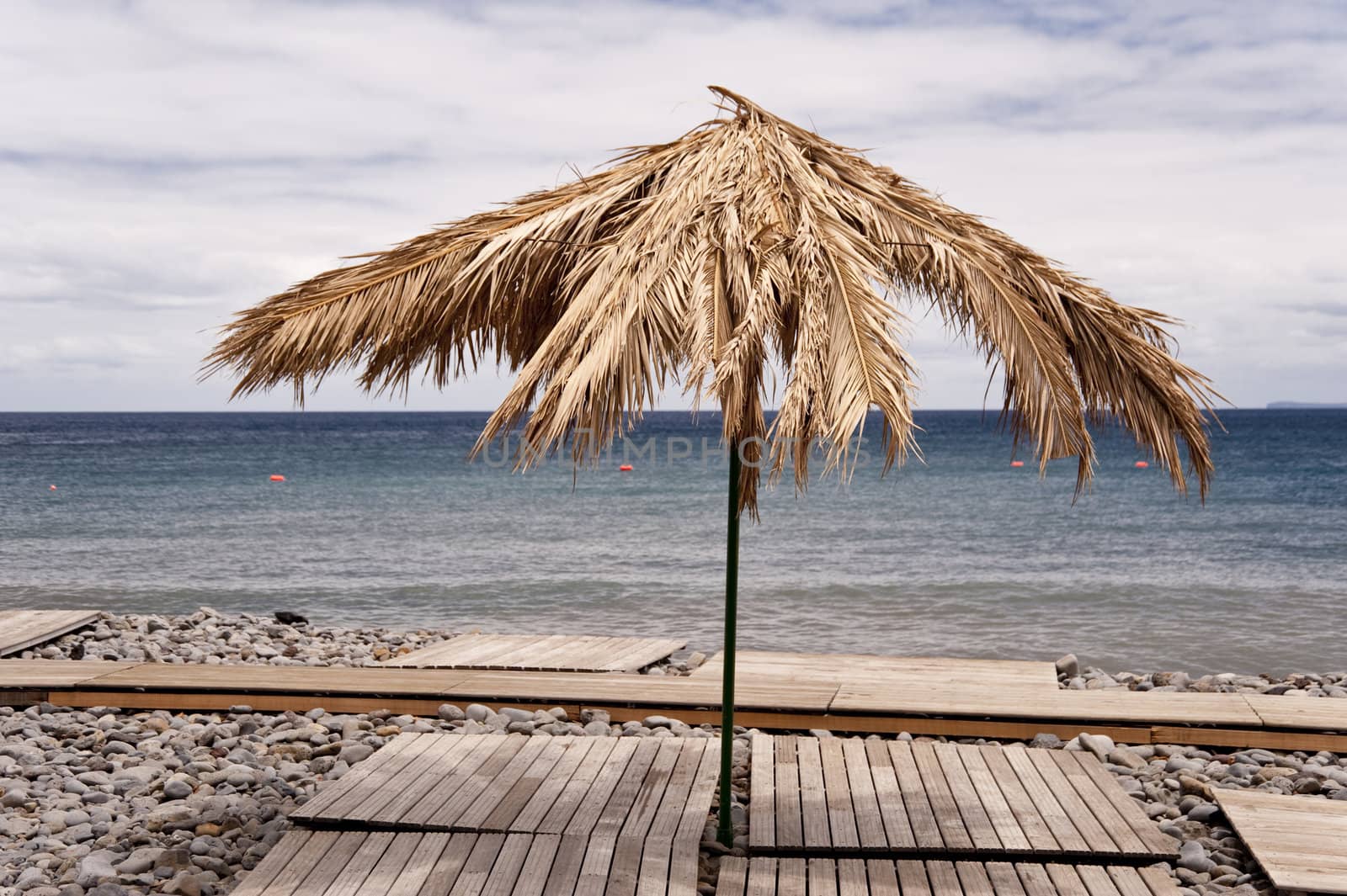 scene in portugal / island of madeira