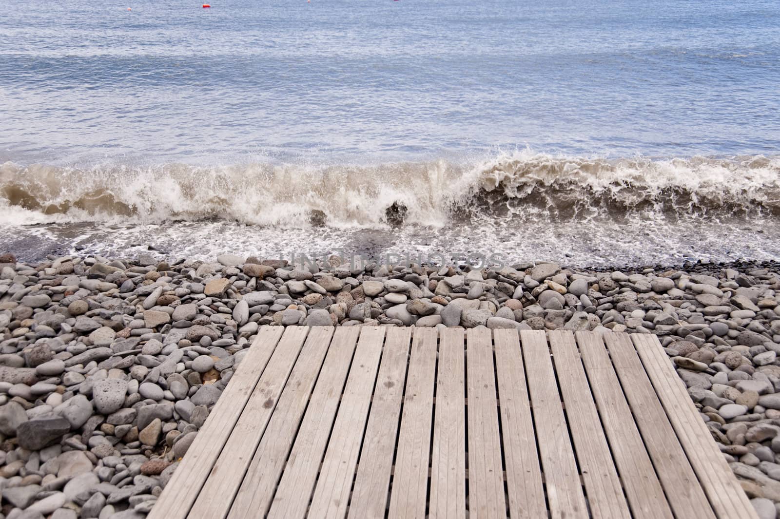 scene in portugal / island of madeira
