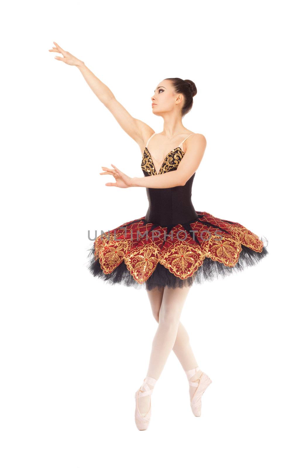 Female ballet dancer by vilevi