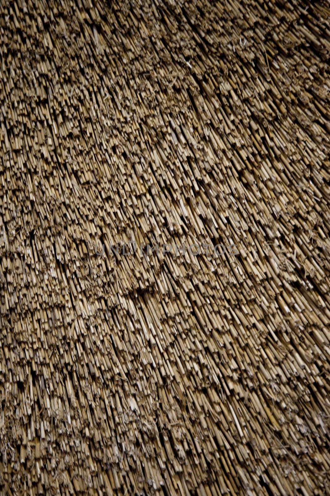 close up of a thatched roof