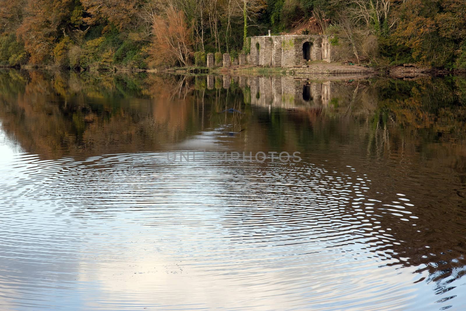 boat house beside the calm river blackwater in county Waterford Ireland