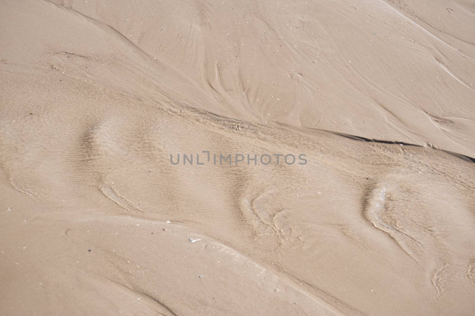 Sandy beach