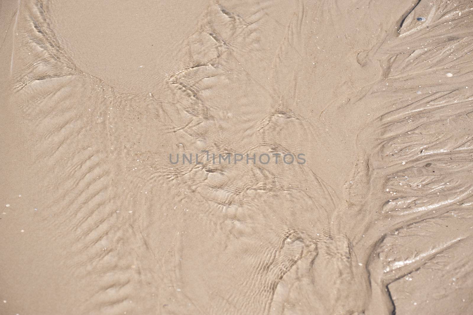 Sandy beach