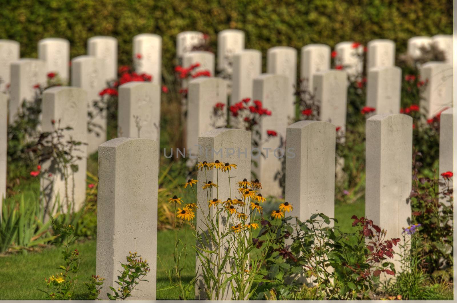 scene on an old graveyard