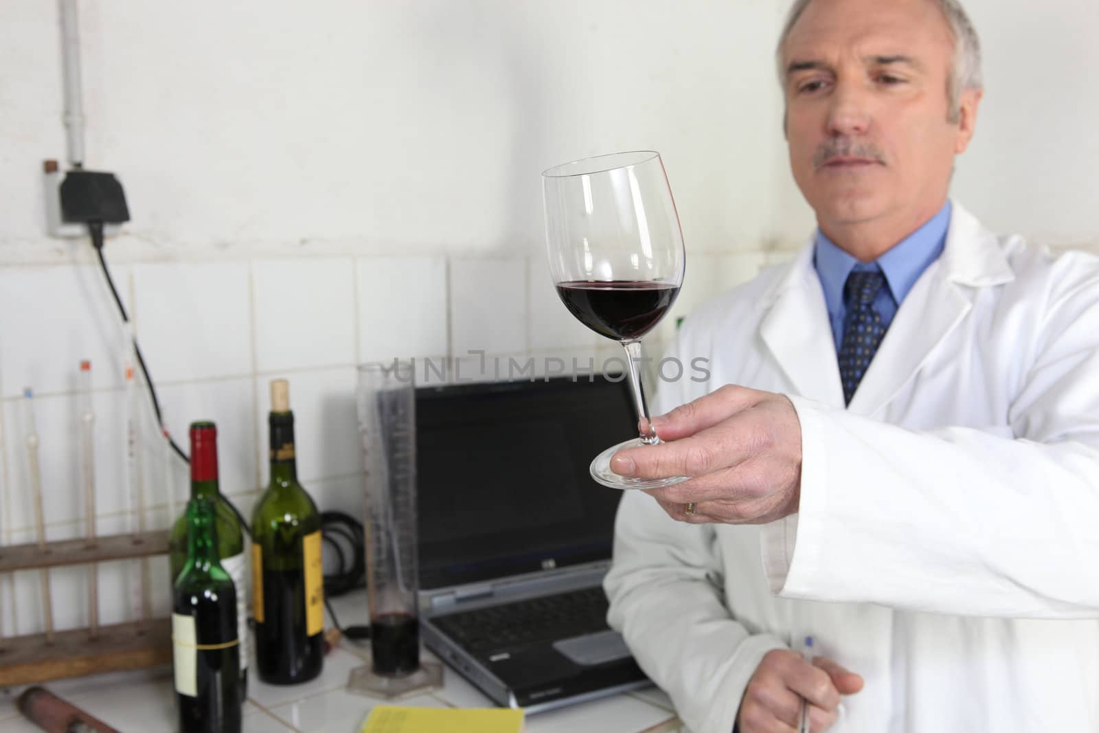 Oenologist examining glass of wine by phovoir