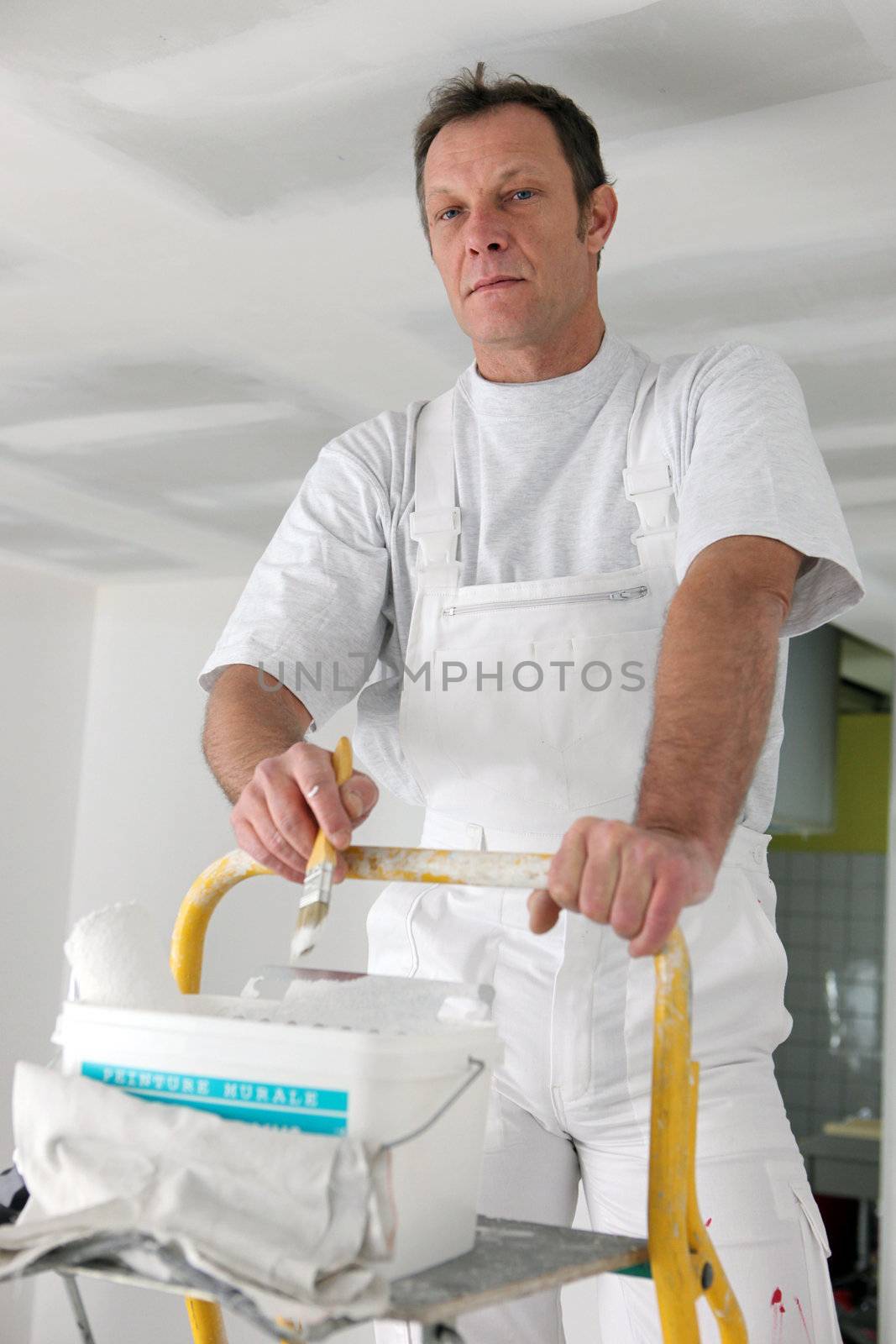 Painter stood on top off ladder