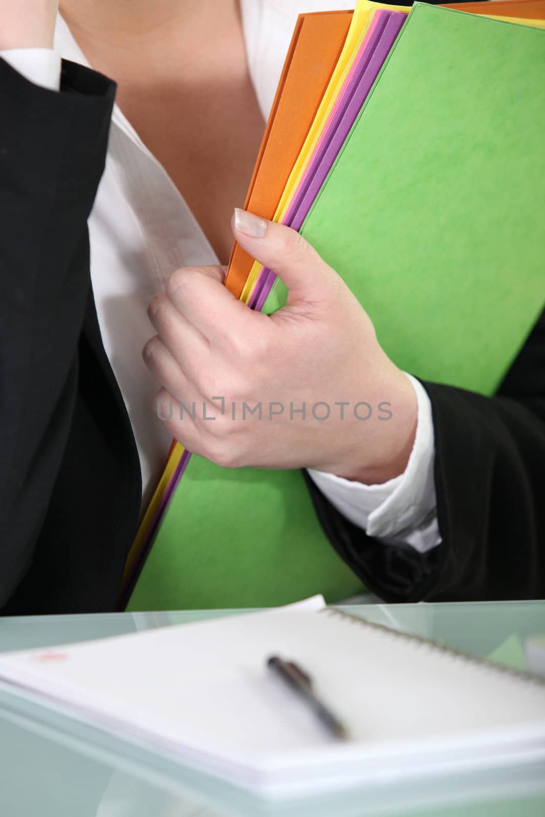 Female businesswoman holding documents