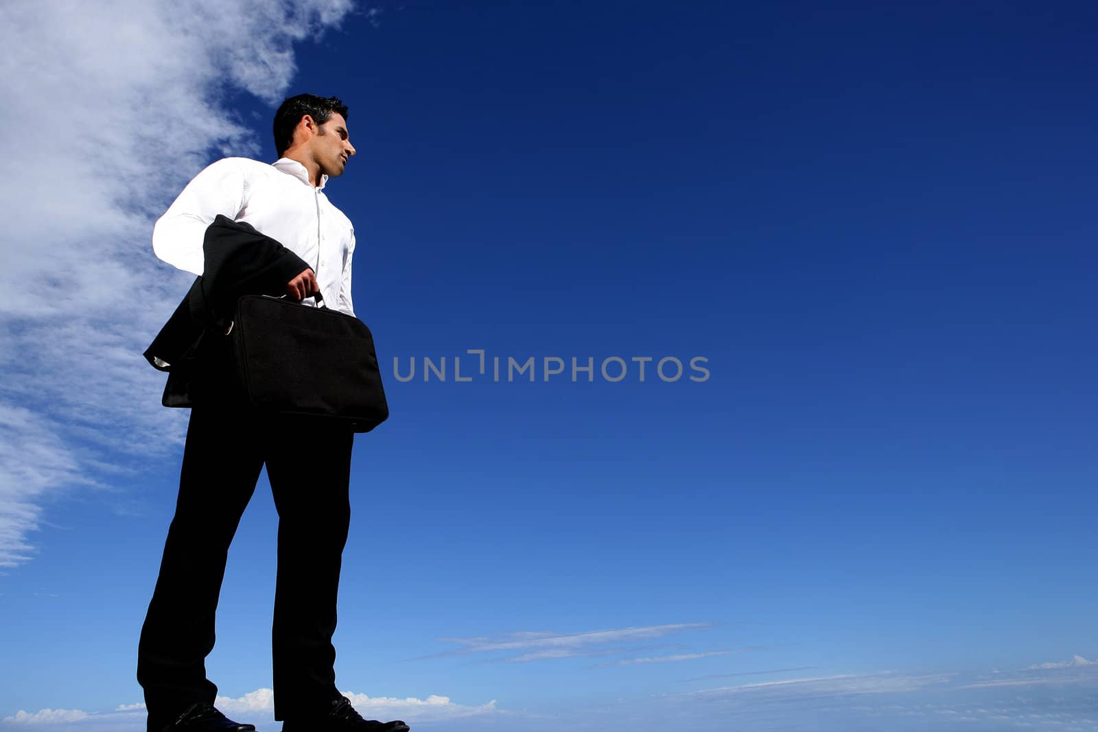 Businessman stood in the wilderness